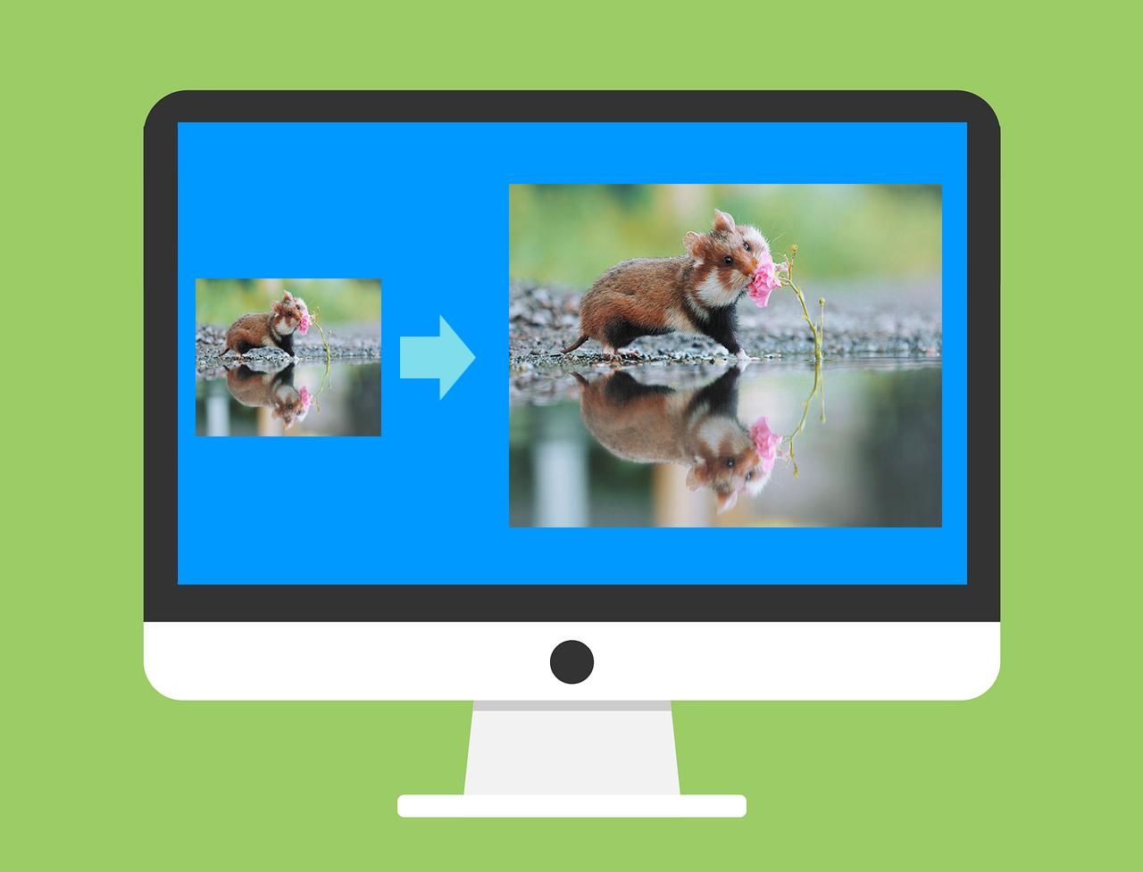 best free picture resizing software